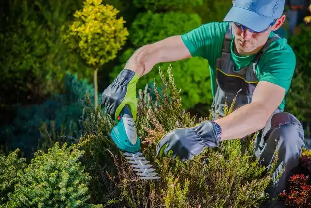 landscaping services Calcium